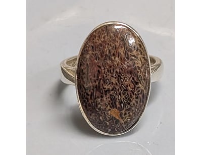 Curios & Collectables (A978) - Lot 511