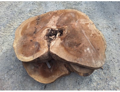 Hardwood Timber Slabs (ON4481) - Lot 18