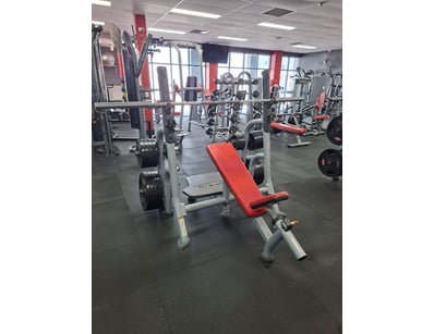 Gym Equipment Liquidation (ON11749) - Lot 4