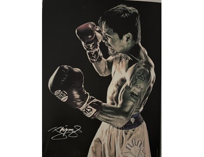 Mancave & Memorabilia (A1007) - Lot 147