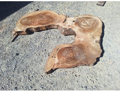 Hardwood Timber Slabs (ON4481) - Lot 23