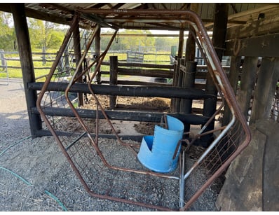 Livestock Feeders

SOLD AS LOT

Location: Bundaber...