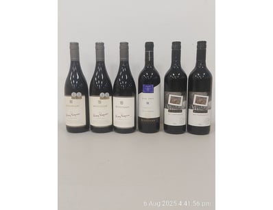 ASSORTED WINE QUANTITY X6 
McGuigan, Shiraz Viogni...