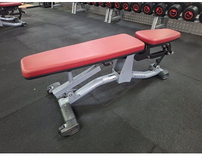 Gym Equipment Liquidation (ON11749) - Lot 48