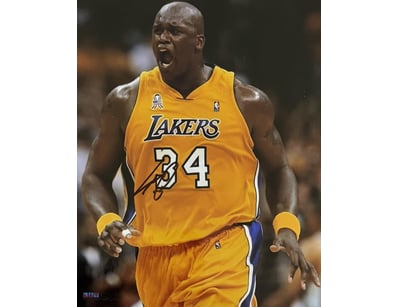 SHAQUILLE O'NEAL SIGNED NBA PHOTO

Shaquille O'Nea...
