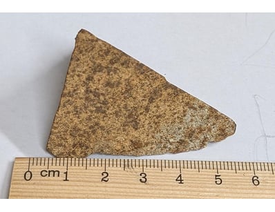 The Curio Collection (A999) - Lot 600