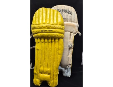 SINGLE VENDOR LIFETIME COLLECTION (A1001) - Lot 866