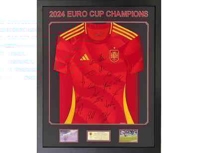 Mancave & Memorabilia (A979) - Lot 100