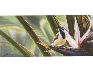 Art Market (A986) - Lot 4108