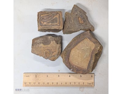 FOUR STROMATOLITE FOSSILS FROM MOROCCO - WORLDS OL...