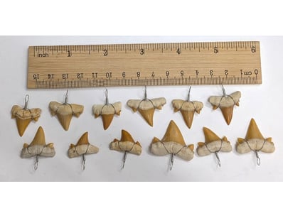 Antiques, Vintage & Interior Treasures (A1006) - Lot 9031