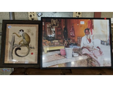 Framed vintage natural history prints depicting a ...