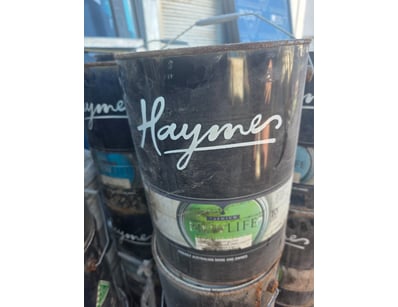 Home Renovators Paint Surplus Clearance (A1007) - Lot 43