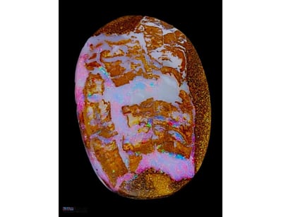 17 CARATS WOOD FOSSIL OPAL FROM WINTON WITH A BEAU...