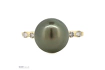 14K Yellow Gold, Black Cultured Tahitian Pearl