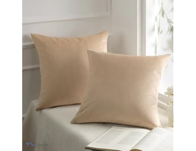 Phantoscope Pack of 2 Velvet Decorative Throw Pill...
