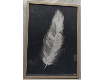 SINGLE VENDOR LIFETIME COLLECTION (A1001) - Lot 503