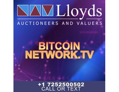Historic Domain Auction: Bitcoin Portfolio + Ic... - Lot 113