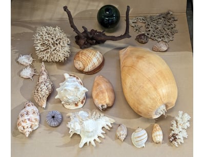 The Curio Collection (A992) - Lot 137