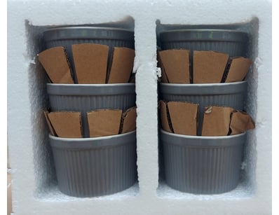 RRP $65 BOX LOT-Nova Webb set of 6 ramekins

Nov...