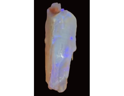 Opal Grandeur (A977) - Lot 7008