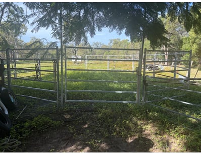 Pony/Horse Pen, Steel Fencing

Location: Bundaberg...