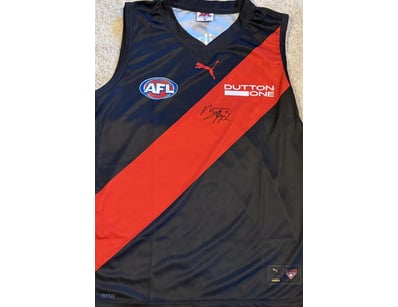MATTHEW LLOYD SIGNED ESSENDON GUERNSEY 

A Essendo...