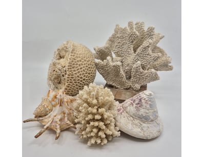 Antiques, Vintage & Interior Treasures (A998) - Lot 2070