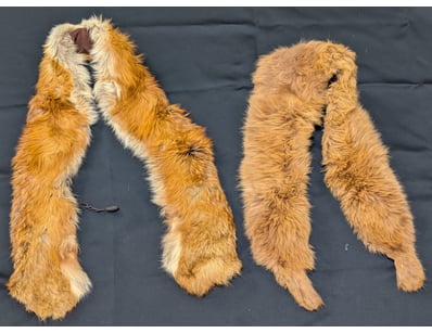 Designer Vault (A1006) - Lot 177