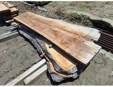 Hardwood Timber Slabs (ON4481) - Lot 13