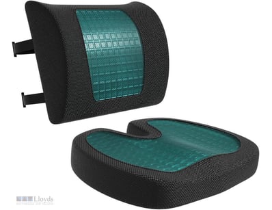 Basics Seat Cushion & Lumbar Support Cool Gel Memo...
