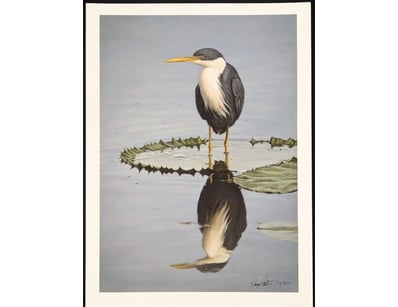 Art Market (A983) - Lot 5026