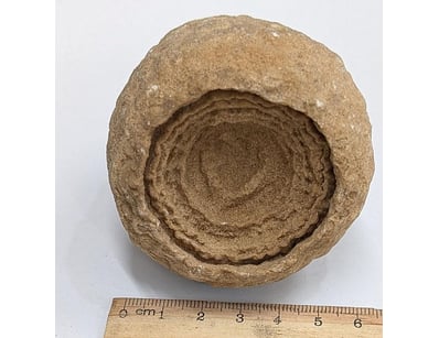 The Curio Collection (A988) - Lot 5018