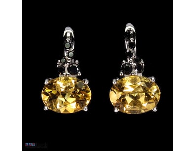 NATURAL CITRINE & BLACK SPINEL EARRINGS     

Natu...