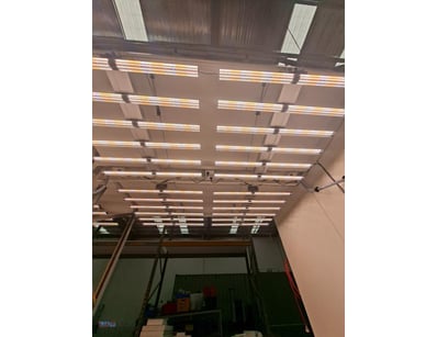 Commercial LED Grow Lights

Professional horticu...