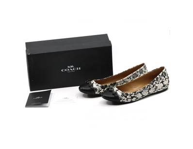 Designer Vault (A981) - Lot 7575