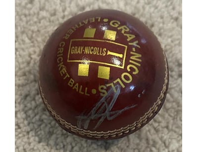 Mancave & Memorabilia (A982) - Lot 1015