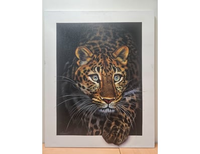 Art Market (A1006) - Lot 513