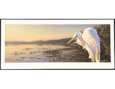 Art Market (A983) - Lot 5021