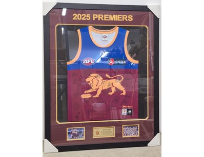 SINGLE VENDOR LIFETIME COLLECTION (A1001) - Lot 812