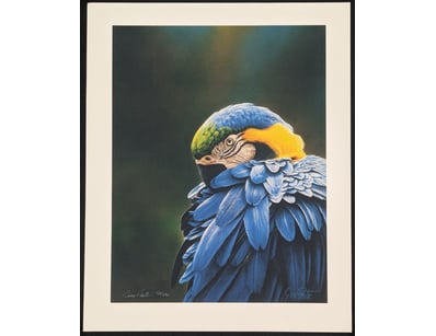 Art Market (A983) - Lot 5045