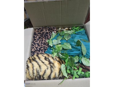 Costume,Assorted Adult Costumes qty to box

Sold A...