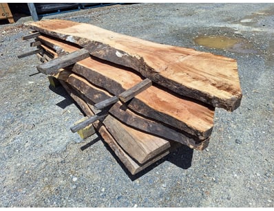 Hardwood Timber Slabs (ON4481) - Lot 12