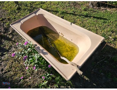 Steel Bath Tub/Water Trough

Onsite

Location: B...