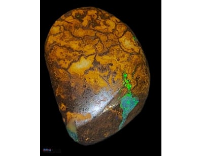 14 CARATS YOWAH BOULDER OPAL.    

Dimensions: 21 ...