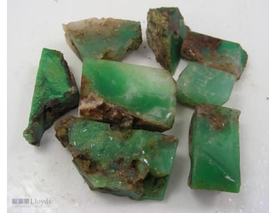 53GRAMS AUSTRALIAN QLD ROUGH CHRYSOPRASE        

...