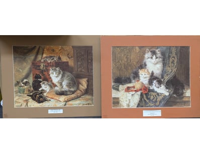 The Curio Collection (A993) - Lot 1018