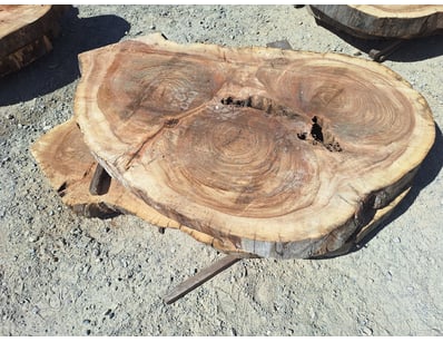 Hardwood Timber Slabs (ON4481) - Lot 25