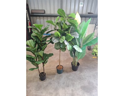 House & Homewares (A987) - Lot 121