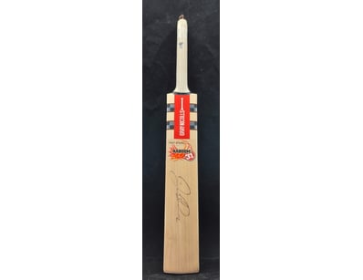 SINGLE VENDOR LIFETIME COLLECTION (A1001) - Lot 919